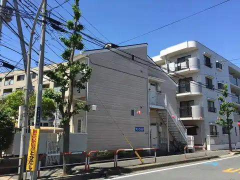 マリーゴールド